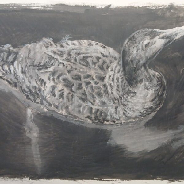 St Cuthbert Sketch IV  600x600